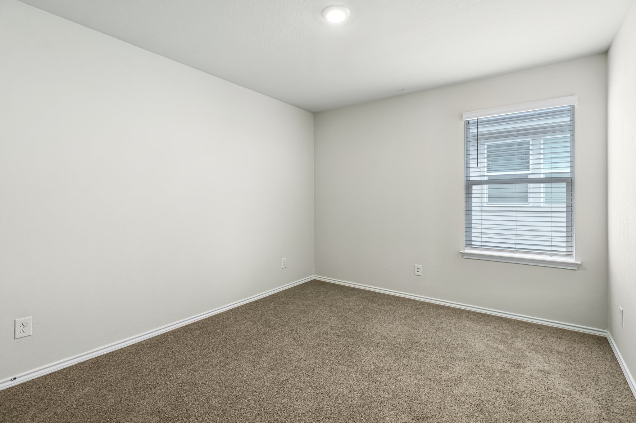 4006 Bay Leaf Loop Von Ormy, TX 78073 - Photo 14 of 19