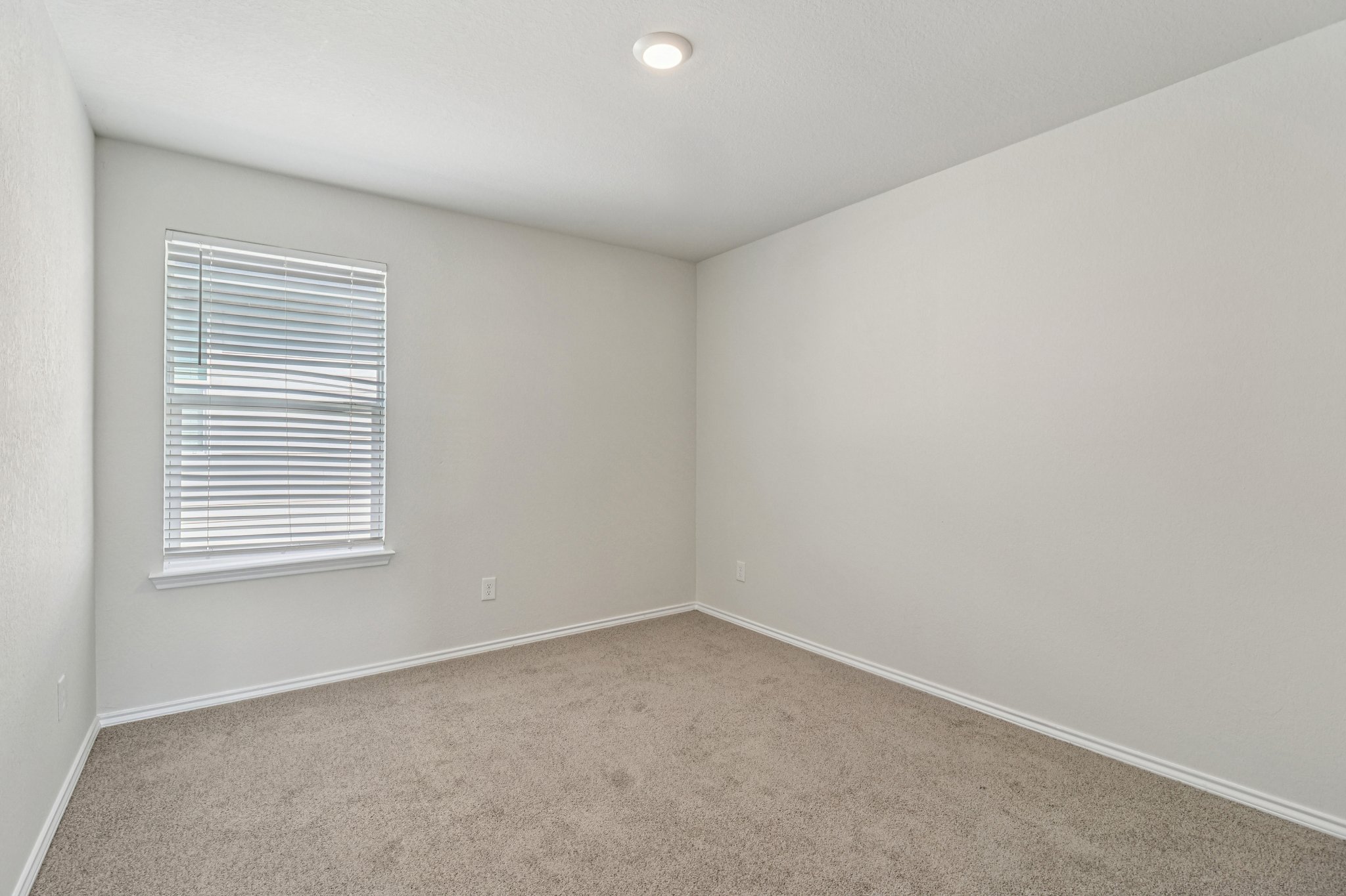 4006 Bay Leaf Loop Von Ormy, TX 78073 - Photo 16 of 19
