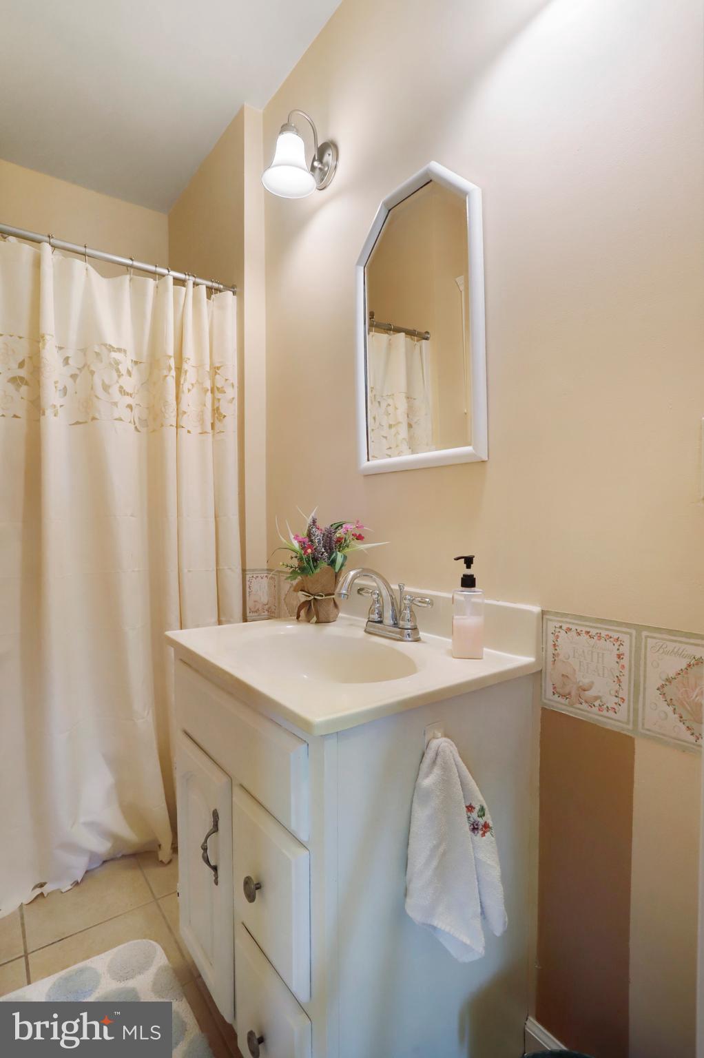 14536 Heavenly Acres Ridge Hancock, MD 21750 - Photo 19 of 45 Main level full bath!