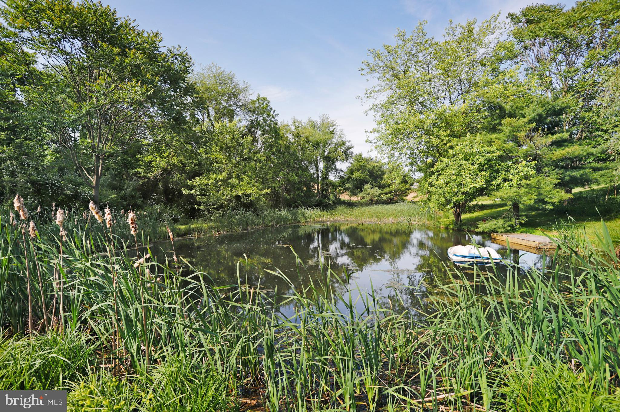 14536 Heavenly Acres Ridge Hancock, MD 21750 - Photo 41 of 45 Private pond for fishing, swimming or paddleboat!