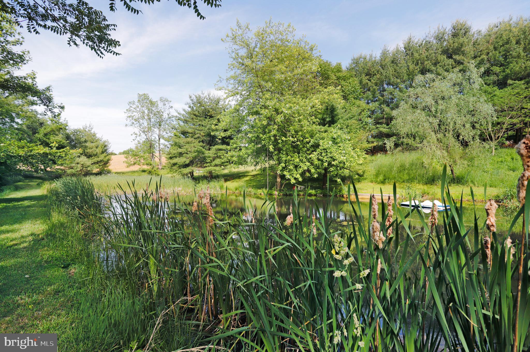 14536 Heavenly Acres Ridge Hancock, MD 21750 - Photo 42 of 45 Private pond for fishing, swimming or paddleboat!
