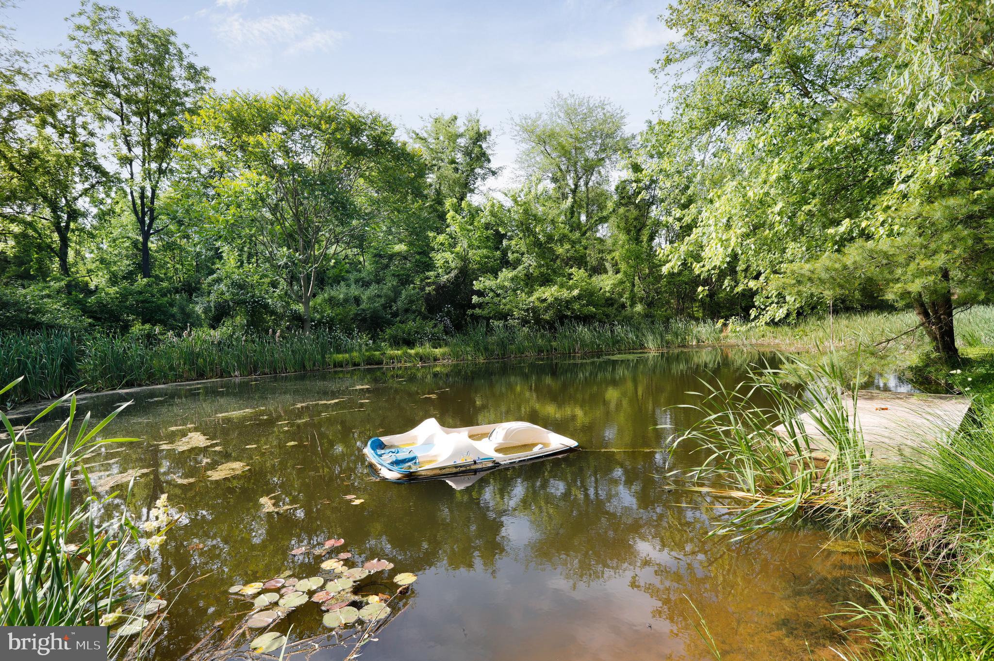 14536 Heavenly Acres Ridge Hancock, MD 21750 - Photo 43 of 45 Private pond for fishing, swimming or paddleboat!
