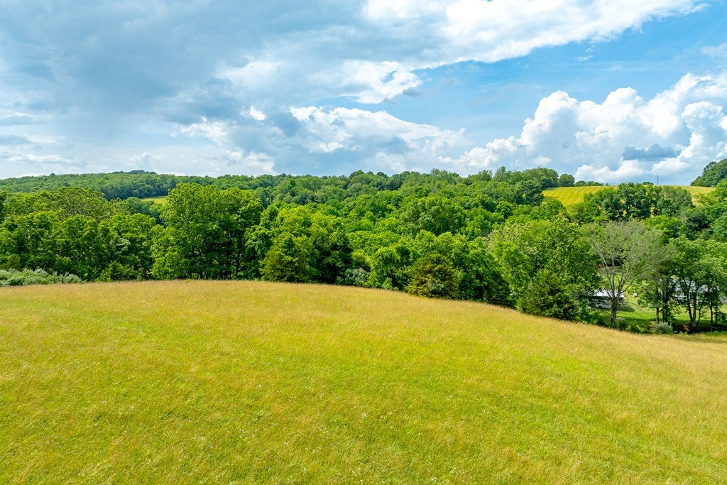 127 Trout Farm Road Rural Retreat, VA 24368 - Photo 73 of 88 Gallery Image 73