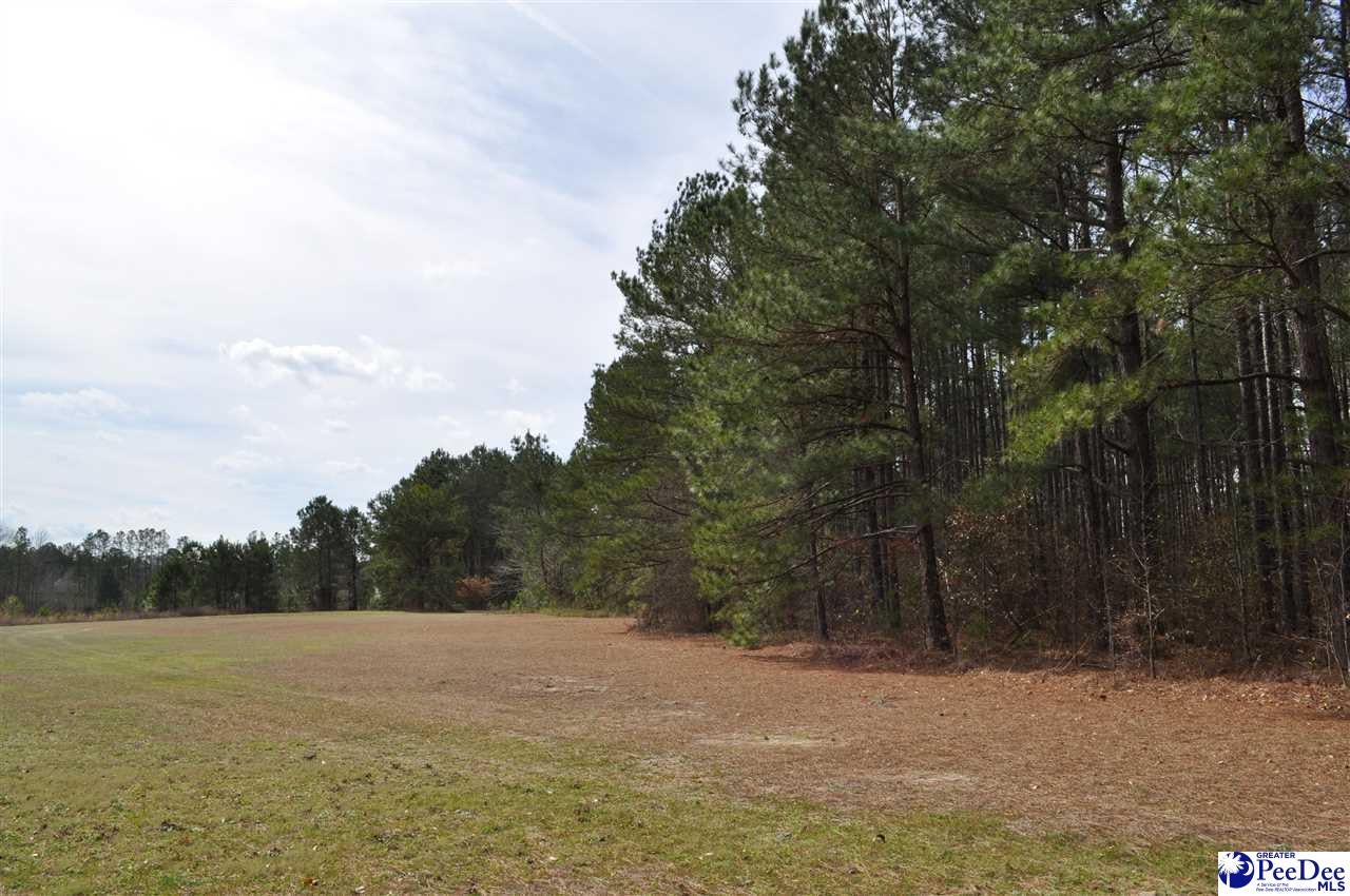 Tbd Crater Road Marion, SC 29571 - Photo 12 of 33 Gallery Image 12