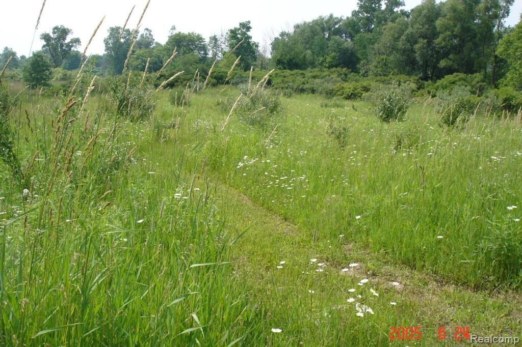 5931 Lippincott Road Lapeer, MI 48446 - Photo 39 of 54 Acreage S.W