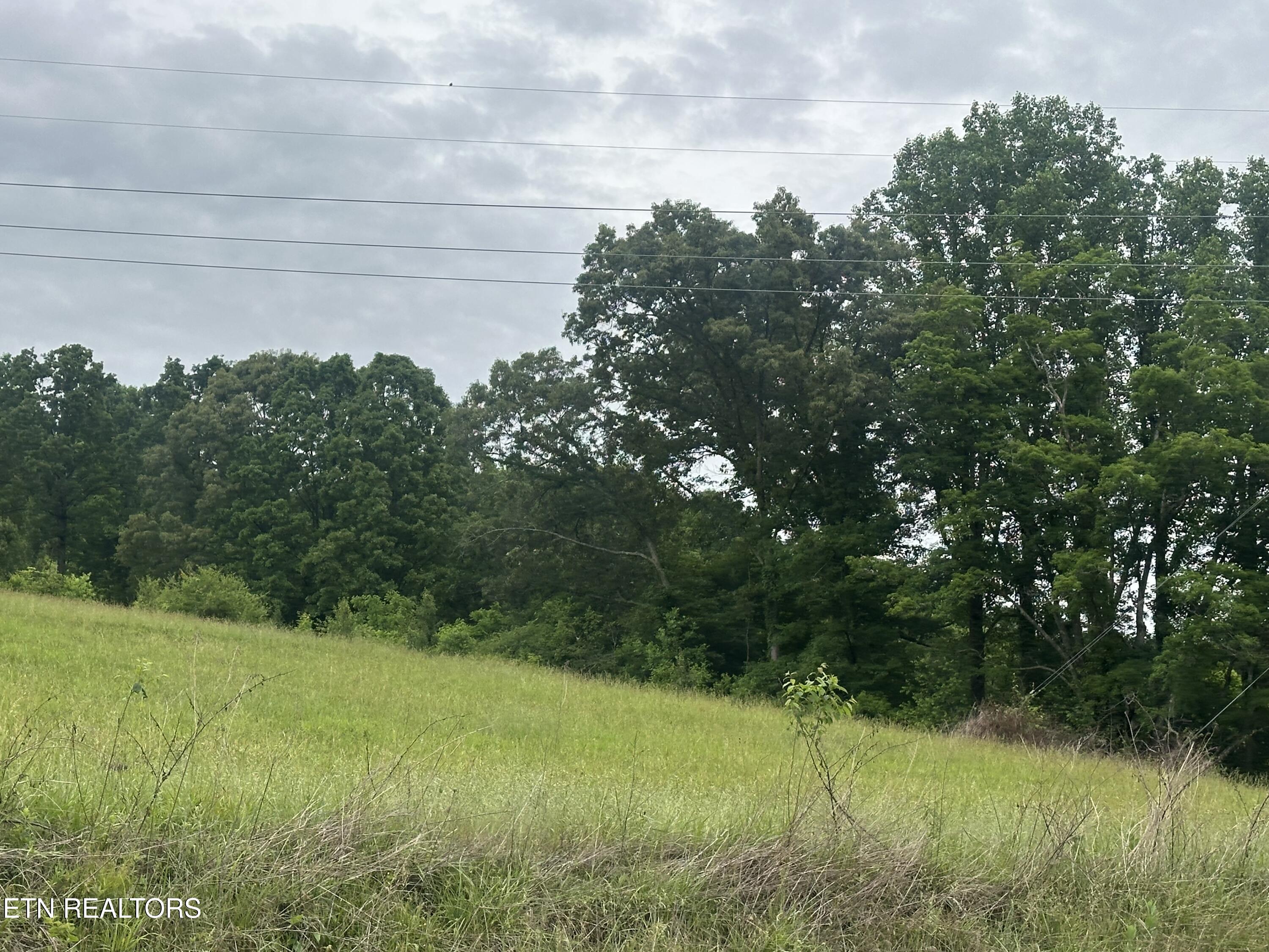 Blackwater Road Sneedville, TN 37869 - Photo 2 of 5 IMG_3346