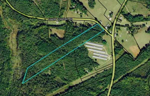 a view of a yard