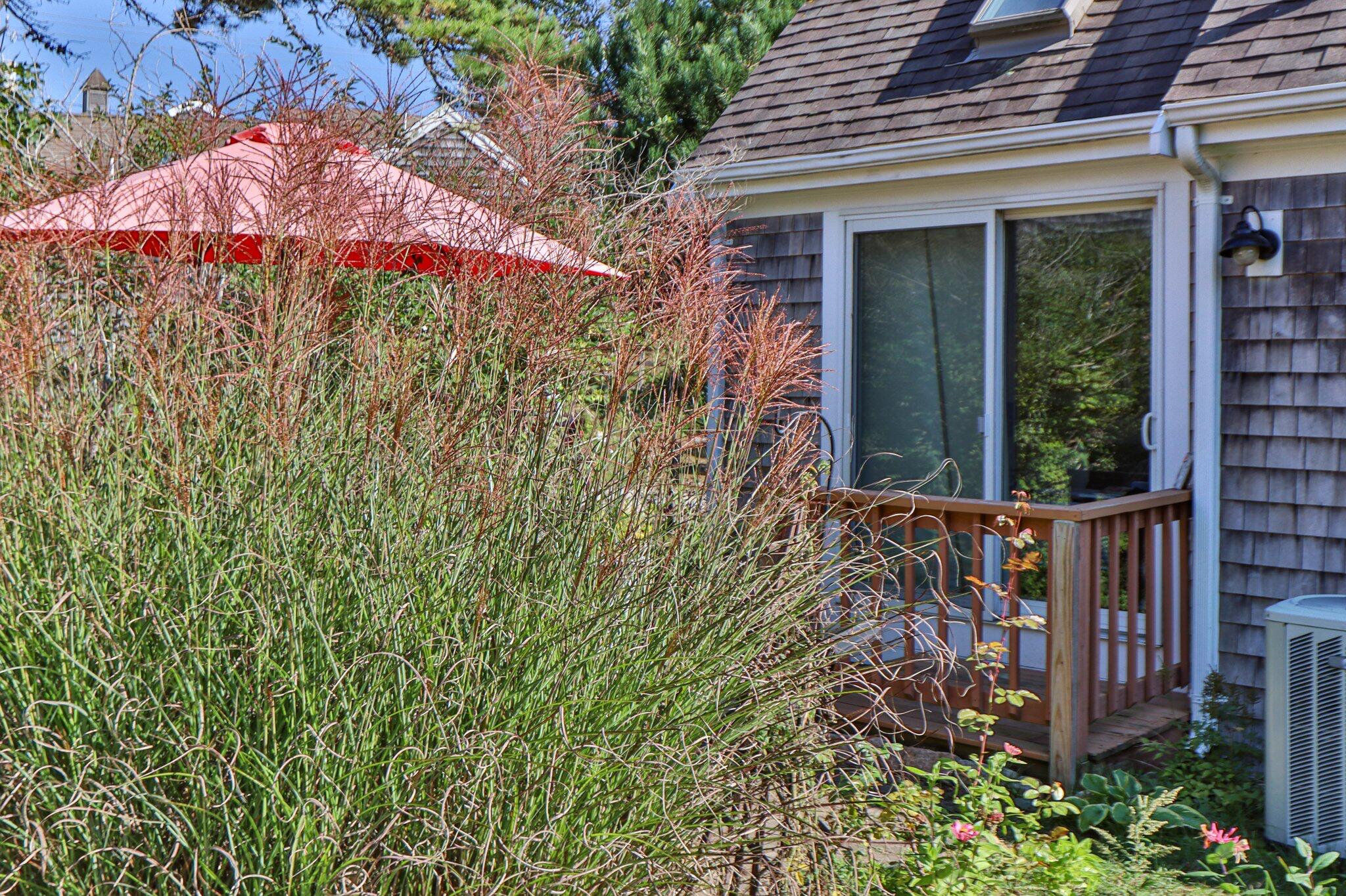 6 Shore Road, Unit 16 Truro, MA 02666 - Photo 15 of 21 a view of a garden with an umbrella