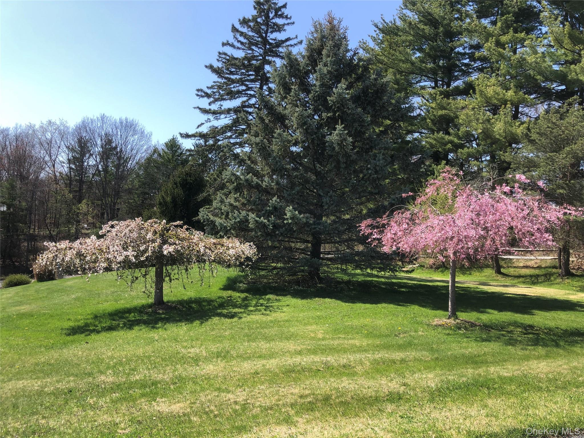 68-78 Ridge Road Clinton Corners, NY 12514 - Photo 42 of 50 a view of a park with large trees
