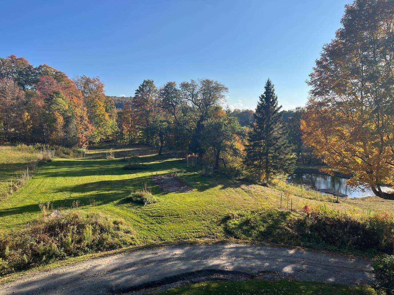 179 Cate Hill Road Greensboro, VT 05827 - Photo 11 of 62