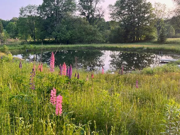 $899,000 | 179 Cate Hill Road, Greensboro, VT 05827