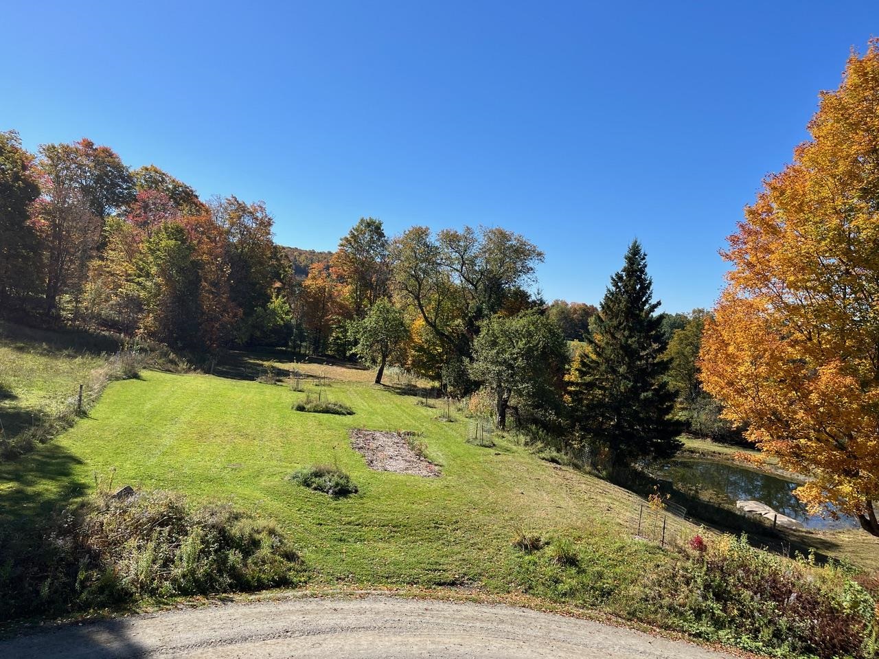 179 Cate Hill Road Greensboro, VT 05827 - Photo 46 of 60