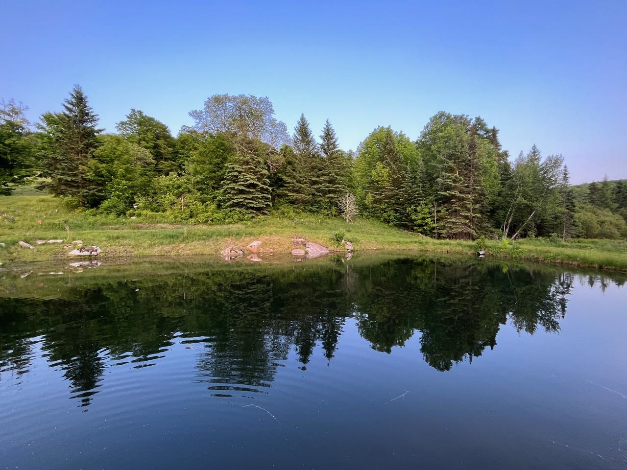 179 Cate Hill Road Greensboro, VT 05827 - Photo 50 of 62