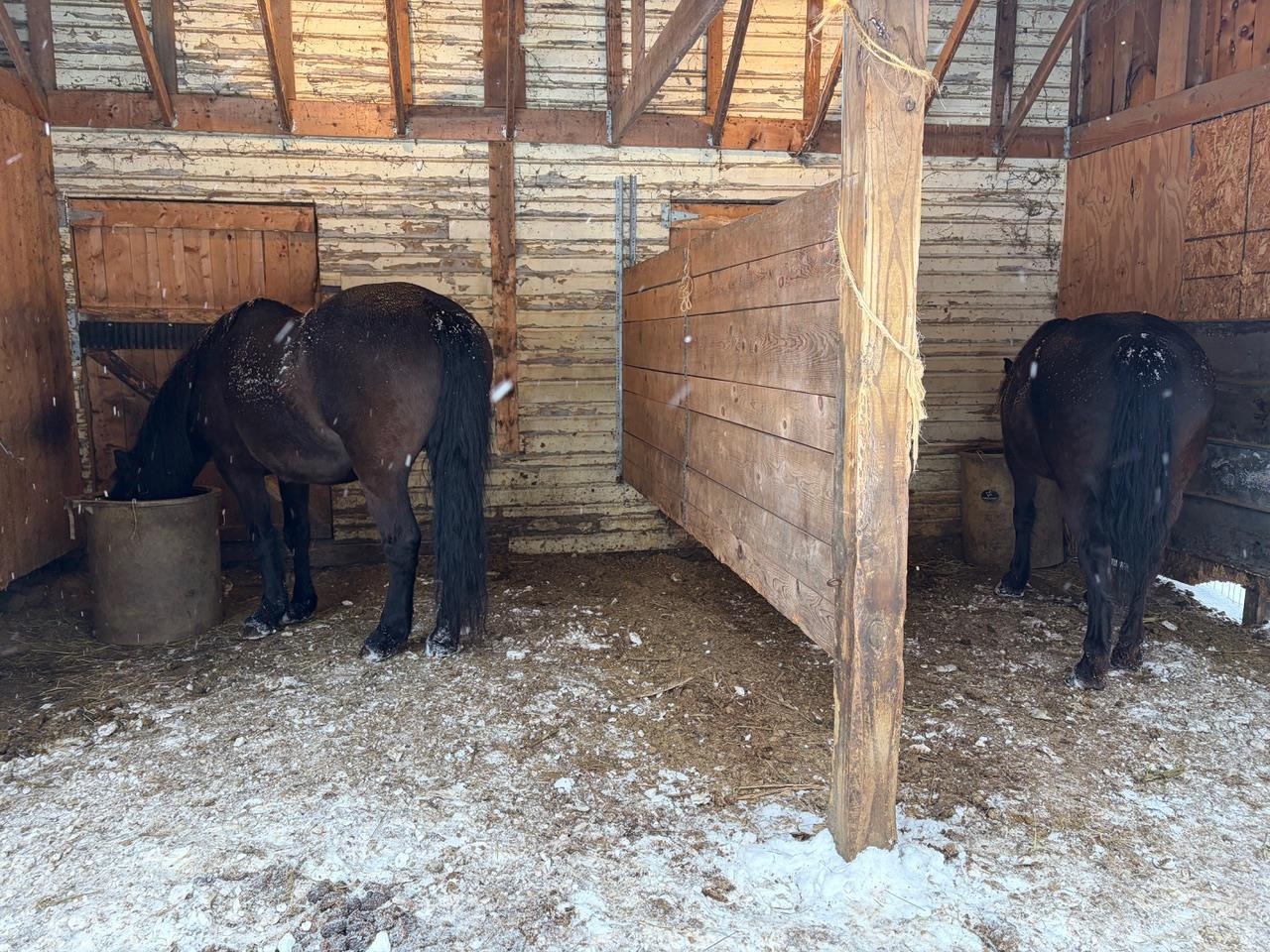 179 Cate Hill Road Greensboro, VT 05827 - Photo 52 of 62