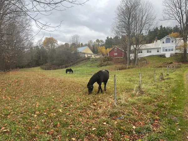 $899,000 | 179 Cate Hill Road, Greensboro, VT 05827