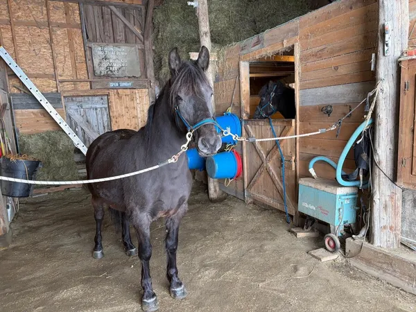 $899,000 | 179 Cate Hill Road, Greensboro, VT 05827