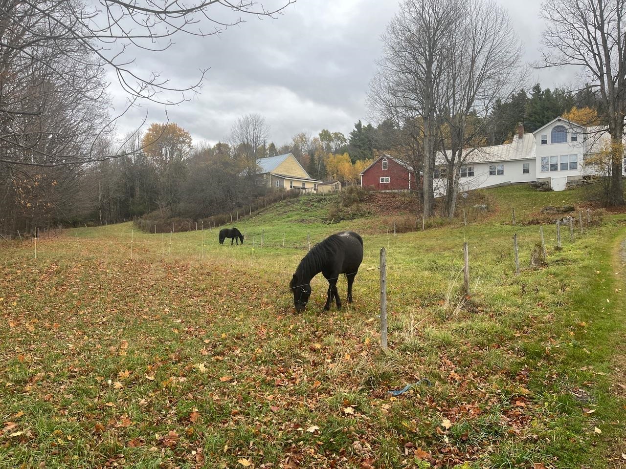 179 Cate Hill Road Greensboro, VT 05827 - Photo 55 of 62