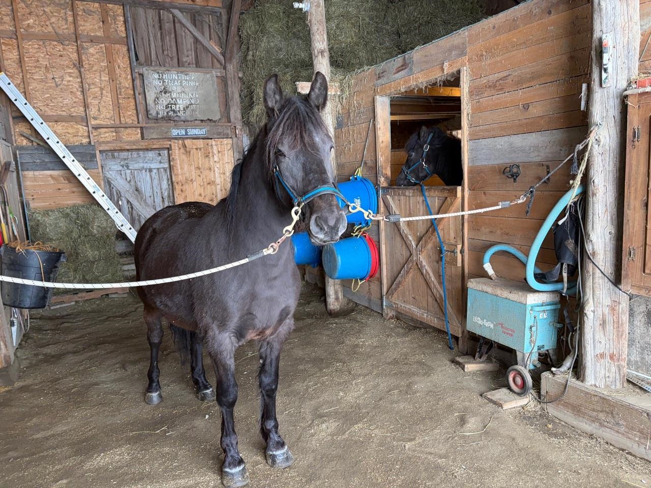 179 Cate Hill Road Greensboro, VT 05827 - Photo 56 of 62