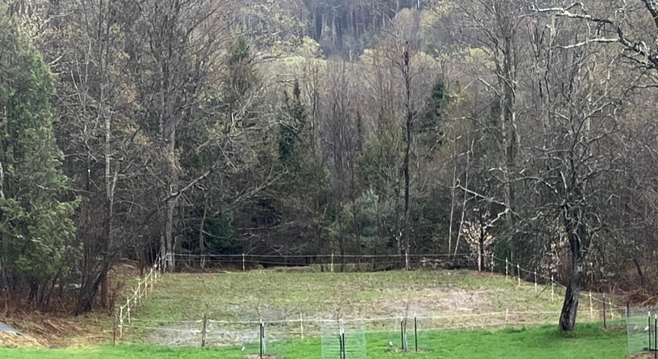 179 Cate Hill Road Greensboro, VT 05827 - Photo 57 of 62