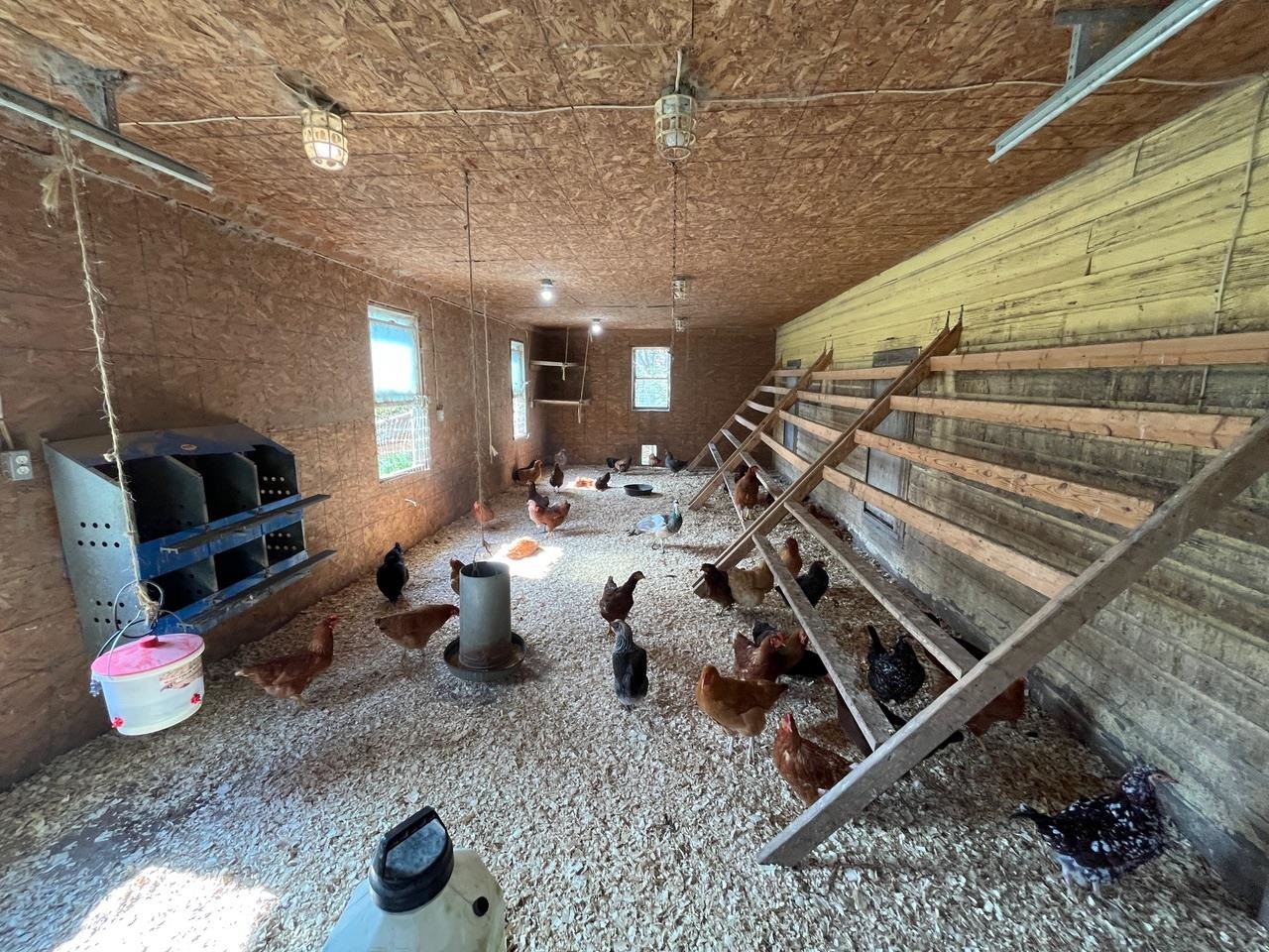 179 Cate Hill Road Greensboro, VT 05827 - Photo 60 of 62