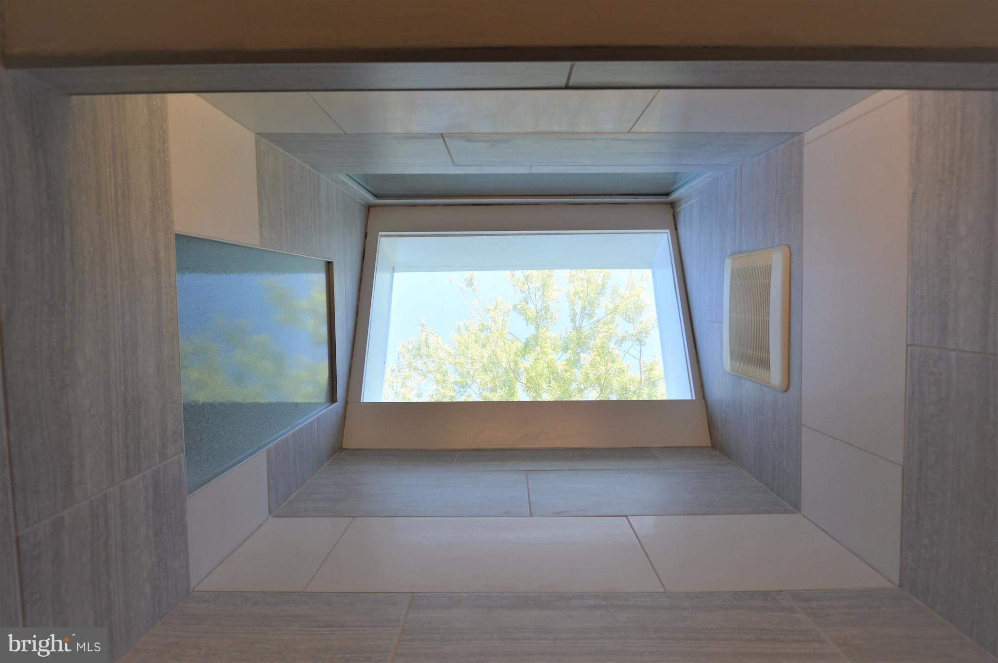 6448 Elmdale Road Alexandria, VA 22312 - Photo 17 of 28 Skylight in Master Shower