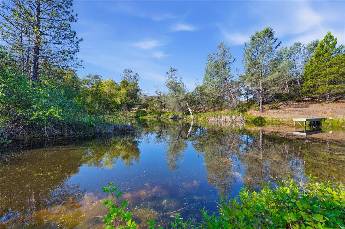 22233 McCourtney Road Grass Valley, CA 95949 - Photo 45 of 89