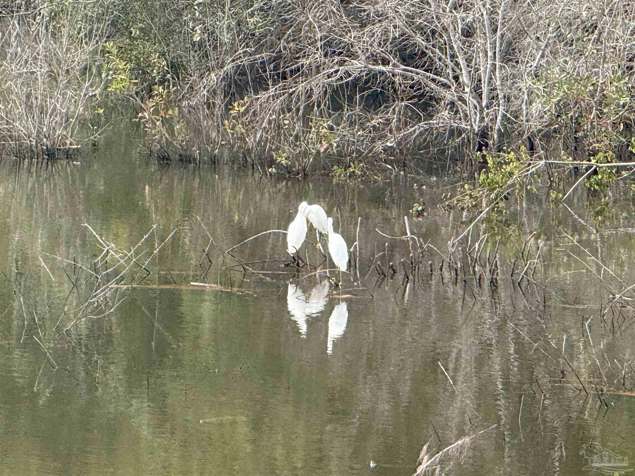 5009 Timber Ridge Drive Pace, FL 32571 - Photo 55 of 72