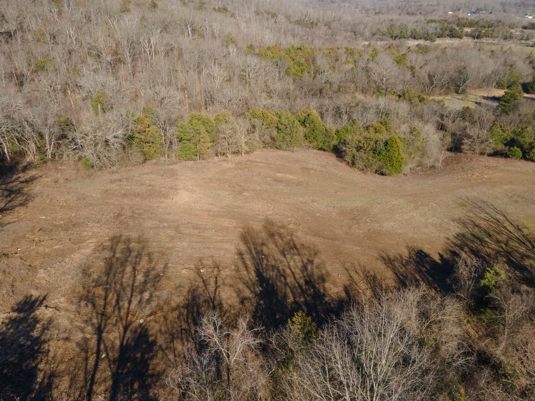 34 Nelms Road Belfast, TN 37019 - Photo 17 of 36