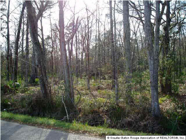 33775 Duff Road Walker, LA 70785 - Photo 3 of 4 Gallery Image 3