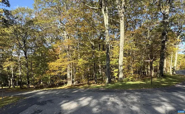 $35,000 | Tbd Winter Wren Lane, Unit 20, Roseland, VA 22967