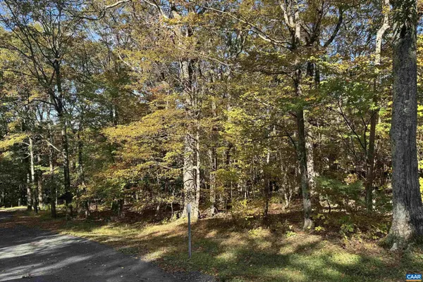 a view of yard with trees