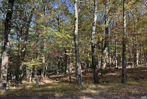 a view of a yard with large trees