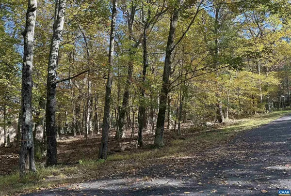 a view of outdoor space with trees