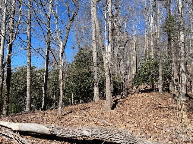 803254 Ivy Road, Unit 219 Mills River, NC 28759 - Photo 12 of 20