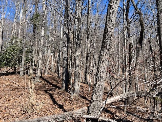 803254 Ivy Road, Unit 219 Mills River, NC 28759 - Photo 13 of 20