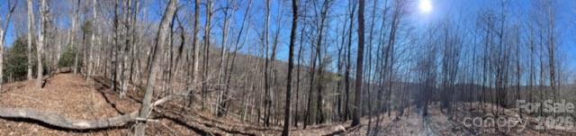 803254 Ivy Road, Unit 219 Mills River, NC 28759 - Photo 15 of 20