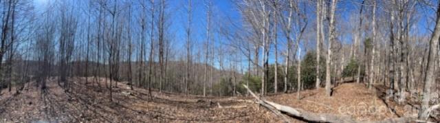 803254 Ivy Road, Unit 219 Mills River, NC 28759 - Photo 16 of 20