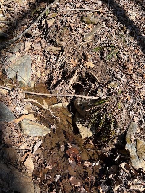 803254 Ivy Road, Unit 219 Mills River, NC 28759 - Photo 17 of 20