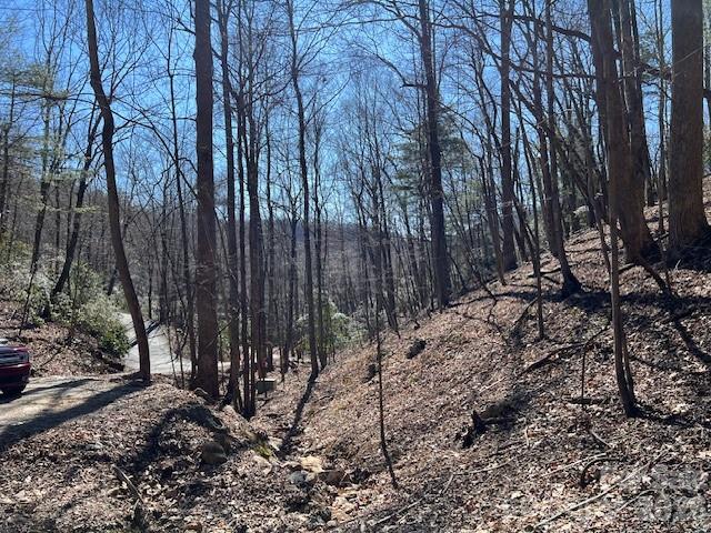 803254 Ivy Road, Unit 219 Mills River, NC 28759 - Photo 18 of 20