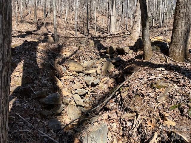 803254 Ivy Road, Unit 219 Mills River, NC 28759 - Photo 19 of 20