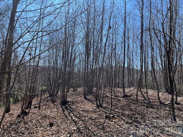 803254 Ivy Road, Unit 219 Mills River, NC 28759 - Photo 2 of 20