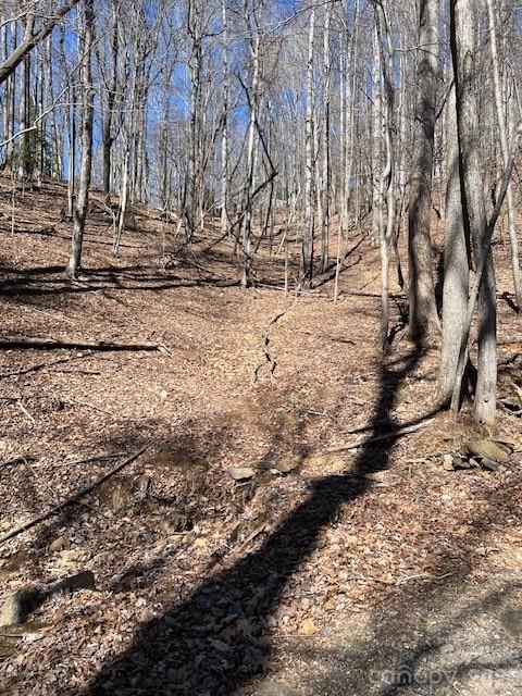 803254 Ivy Road, Unit 219 Mills River, NC 28759 - Photo 3 of 20