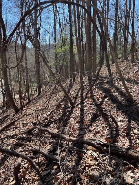 803254 Ivy Road, Unit 219 Mills River, NC 28759 - Photo 4 of 20