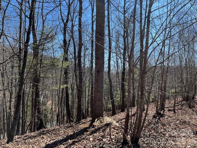 803254 Ivy Road, Unit 219 Mills River, NC 28759 - Photo 5 of 20