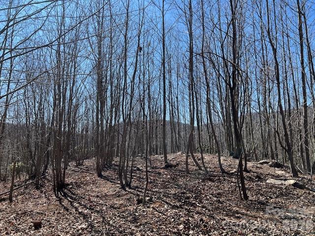 803254 Ivy Road, Unit 219 Mills River, NC 28759 - Photo 6 of 20