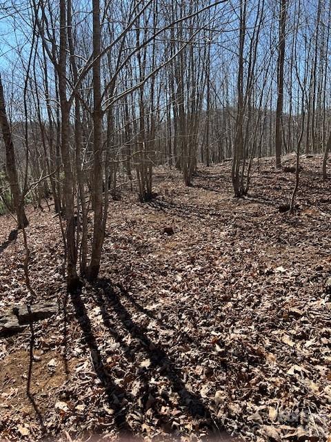 803254 Ivy Road, Unit 219 Mills River, NC 28759 - Photo 7 of 20