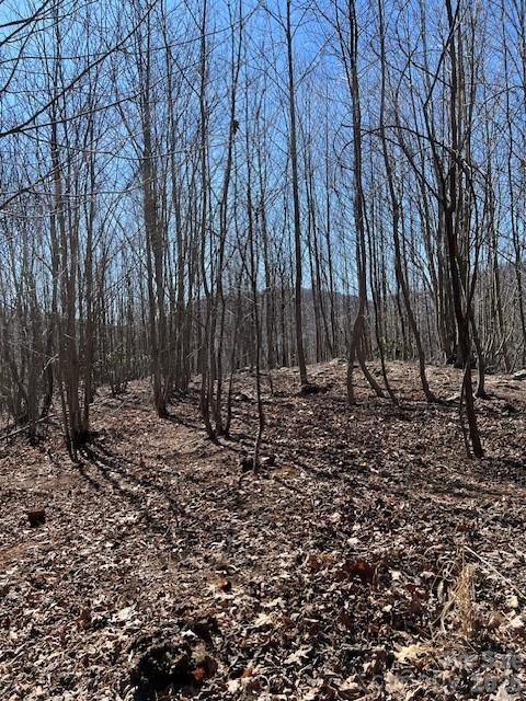 803254 Ivy Road, Unit 219 Mills River, NC 28759 - Photo 8 of 20