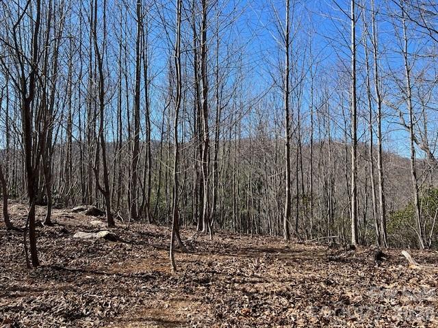 803254 Ivy Road, Unit 219 Mills River, NC 28759 - Photo 9 of 20