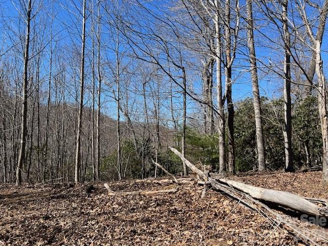 803254 Ivy Road, Unit 219 Mills River, NC 28759 - Photo 10 of 20