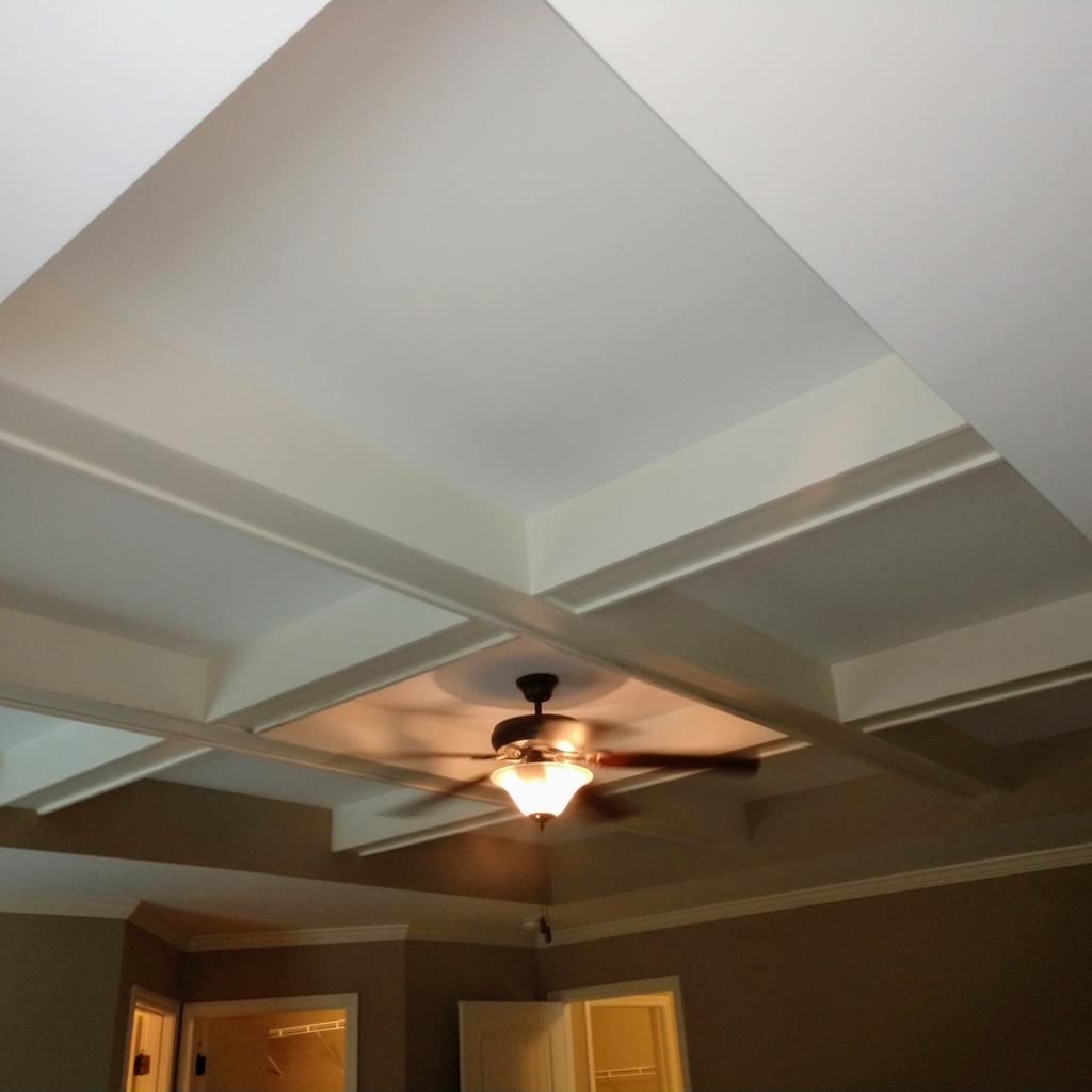 9838 Fortson Road Fortson, GA 31808 - Photo 17 of 45 Specialty ceiling Master